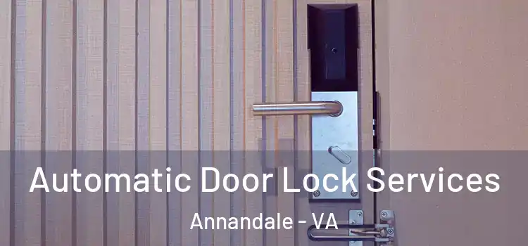 Automatic Door Lock Services Annandale - VA