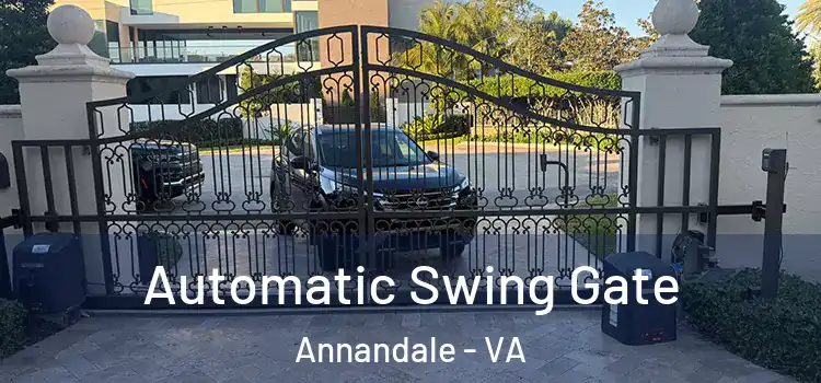 Automatic Swing Gate Annandale - VA