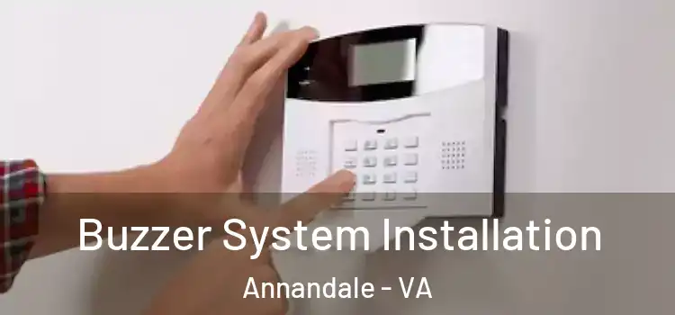 Buzzer System Installation Annandale - VA