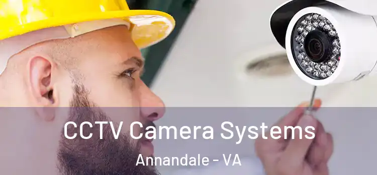 CCTV Camera Systems Annandale - VA
