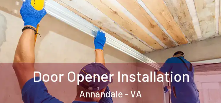 Door Opener Installation Annandale - VA