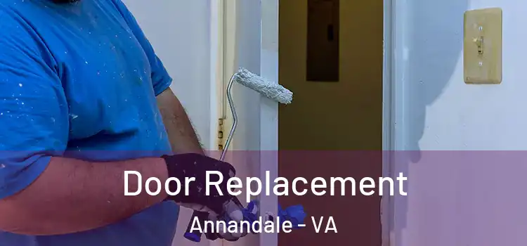 Door Replacement Annandale - VA