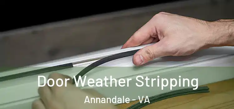 Door Weather Stripping Annandale - VA