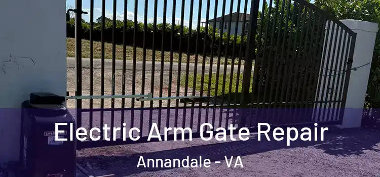 Electric Arm Gate Repair Annandale - VA