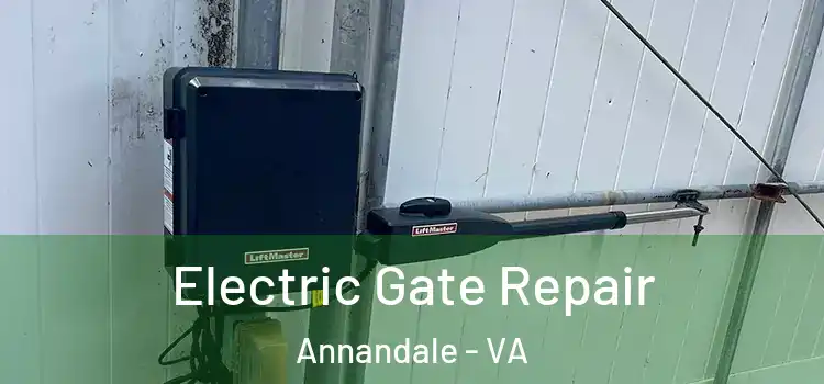 Electric Gate Repair Annandale - VA