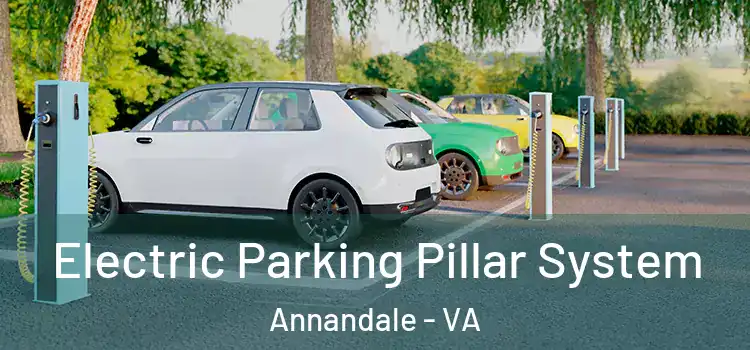 Electric Parking Pillar System Annandale - VA