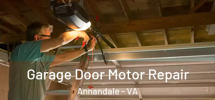 Garage Door Motor Repair Annandale - VA