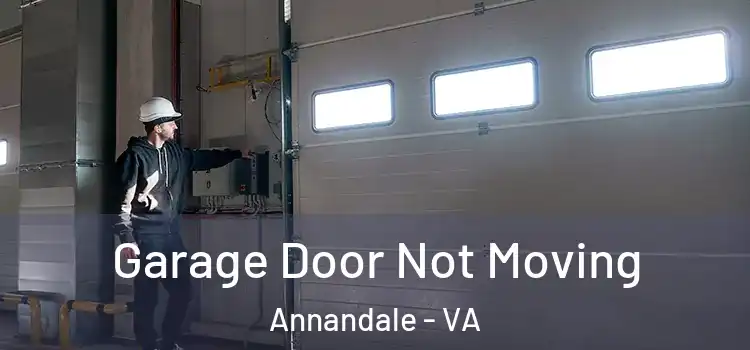  Garage Door Not Moving Annandale - VA
