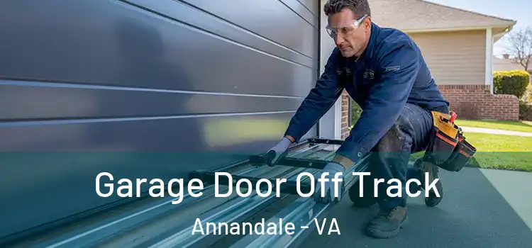  Garage Door Off Track Annandale - VA