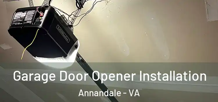  Garage Door Opener Installation Annandale - VA