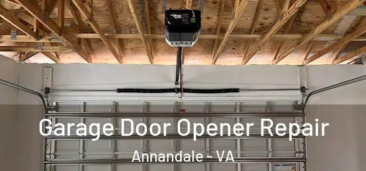  Garage Door Opener Repair Annandale - VA