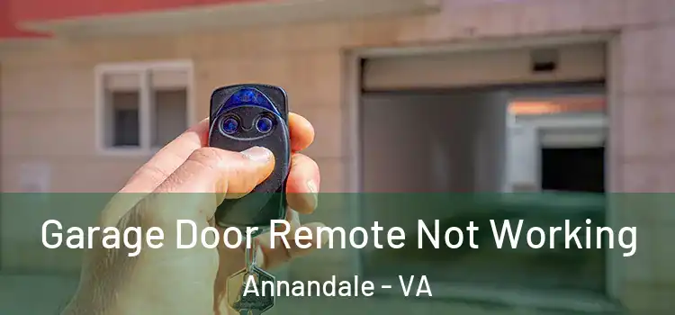  Garage Door Remote Not Working Annandale - VA