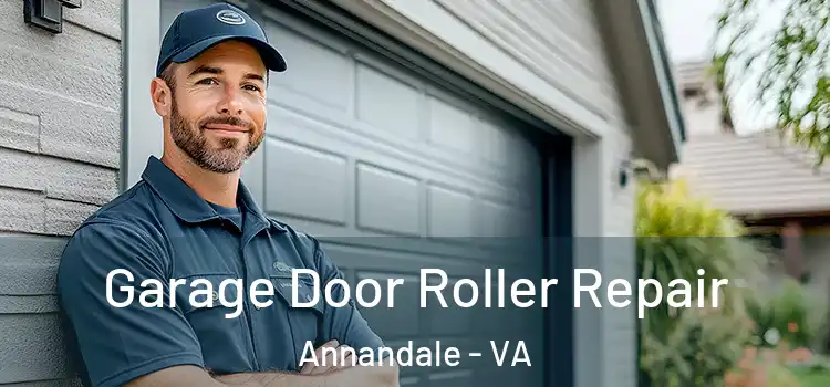  Garage Door Roller Repair Annandale - VA