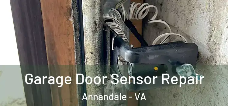 Garage Door Sensor Repair Annandale - VA