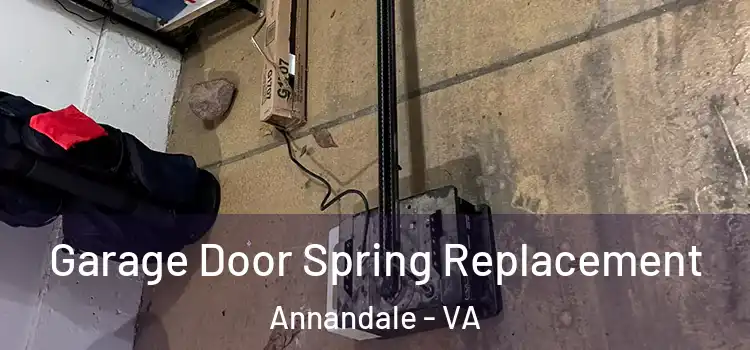  Garage Door Spring Replacement Annandale - VA