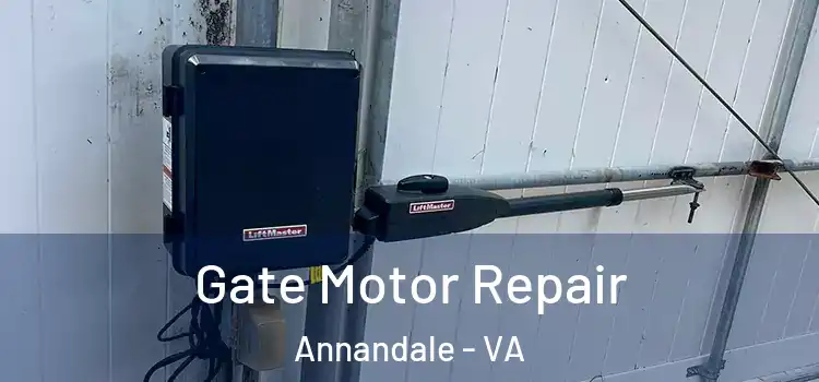 Gate Motor Repair Annandale - VA