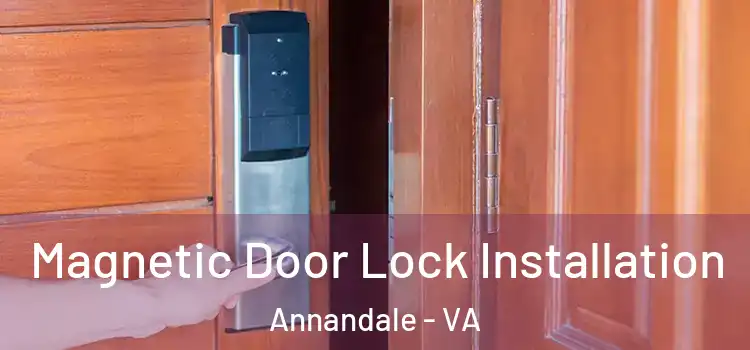  Magnetic Door Lock Installation Annandale - VA