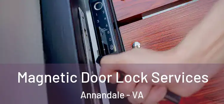 Magnetic Door Lock Services Annandale - VA
