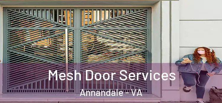 Mesh Door Services Annandale - VA