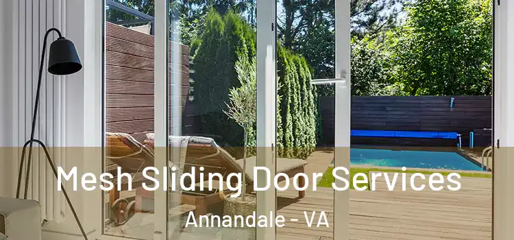 Mesh Sliding Door Services Annandale - VA