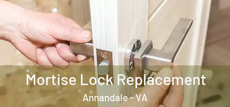 Mortise Lock Replacement Annandale - VA