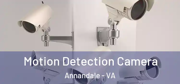  Motion Detection Camera Annandale - VA
