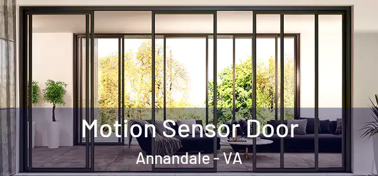 Motion Sensor Door Annandale - VA