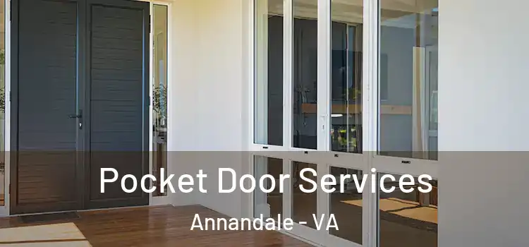 Pocket Door Services Annandale - VA