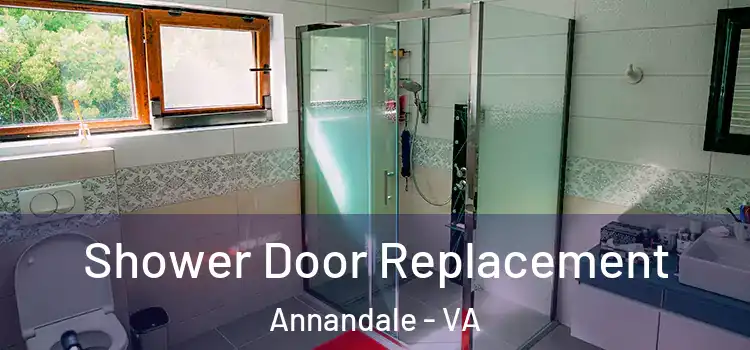 Shower Door Replacement Annandale - VA
