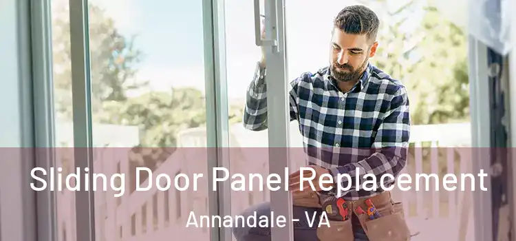  Sliding Door Panel Replacement Annandale - VA